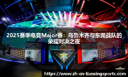 2025赛季电竞Major赛:乌鲁木齐与东莞战队的荣耀对决之夜