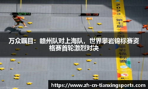 万众瞩目:赣州队对上海队,世界攀岩锦标赛资格赛首轮激烈对决